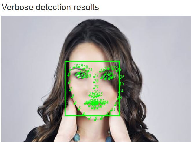 Comprobo – Facial Detection